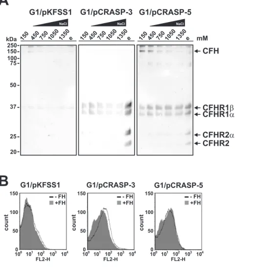 Figure 5. Serum proteins display differential binding capabilities to CRASP-3 and CRASP-5