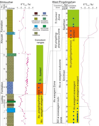 Figure 1. Biostratigraphic and C-isotopic correlation of the Shitouzhai section near Ziyun, southern Guizhou Province, with the West Pingdingshan section in Chaohu, Anhui Province, South China