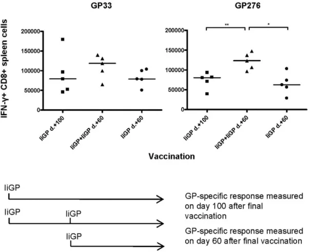 Figure 9. Memory cell expansion in previously vaccinated mice. Mice were vaccinated with Ad5-IiGP followed by a second vaccination with the same vector 40 days later, and the GP-specific CD8 T cell response was measured on day 60 after the final vaccinatio