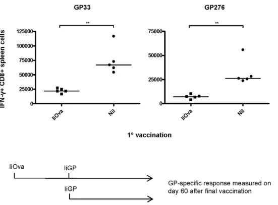 Figure 6. Vaccine induced generation of transgene-specific memory CD8 T cells is less affected than the expansion of primary effectors in Ad5-immune mice