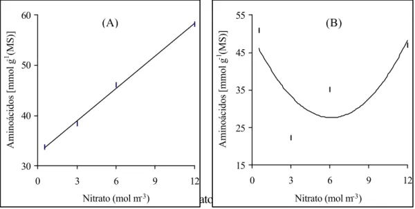 Figura 5- Efeito da concentração do nitrato sobre os níveis de aminoácidos das  folhas (A) e das raízes de absorção (B) de plantas de mandioca cultivadas por  90 dias, em solução nutritiva