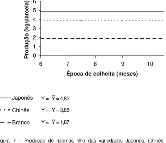 Figura 6  – Produção de rizomas mãe das variedades Japonês, Chinês e  Branco, em função da época de colheita 