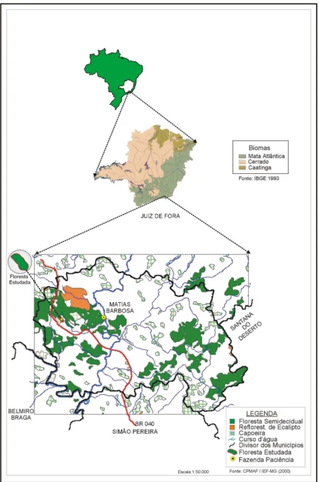 Figura 1  -  Localização geográfica da floresta estudada, na Fazenda Paciência, município de  Matias Barbosa, Minas Gerais