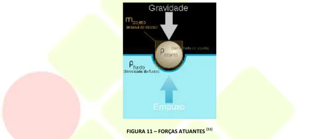 FIGURA 11  –  FORÇAS ATUANTES  [11]