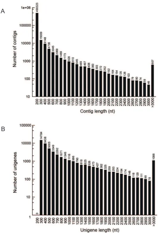 Figure 1. Length distributions of the de novo assembly for contigs and unigenes. The length distribution of contigs and unigenes were counted with an interval of every 100 bp from 200 bp to 3000 bp