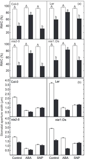 Figure 6. Unlike abscisic acid (ABA), nitric oxide does not enhance drought tolerance by enhancing stomatal closure during periods of water deprivation