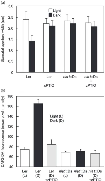 Figure 7. Guard cell nitric oxide (NO) synthesis is required for dark-induced stomatal closure