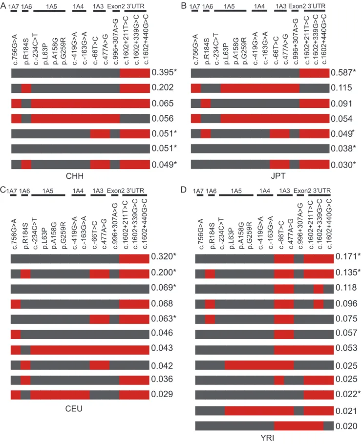 Figure 5. Haplotypes and their frequencies in CHH and three HapMap populations. Only the 14 polymorphisms shared by these four groups are included in the analysis