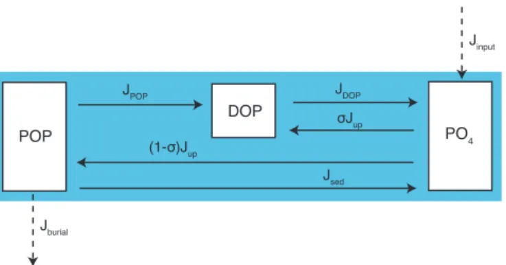 Figure 3. Schematic illustrating the transformations between the various phosphorus pools in the model: particulate organic  phos-phorus (POP), dissolved organic phosphos-phorus (DOP) and inorganic phosphate (PO 4 )
