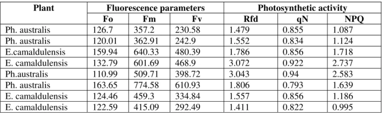 Table 2. Fluorescence parameters and photosynthetic activity in some species 
