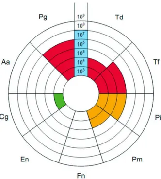 Fig. 1. Detected microbial species (Example 1).