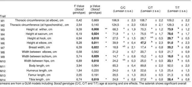 Fig 6. Effect of Socs2 genotype on body size in eighteen sheep. Lsmeans are from a GLM models including Socs2 genotype (C/C, C/T and T/T) age at scoring and sire effects