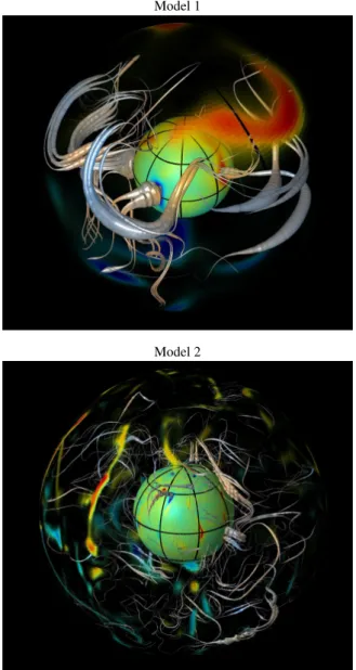 Fig. 1. Dynamical magnetic fieldline imaging (DMFI) representa- representa-tion of the numerical models magnetic field line structure