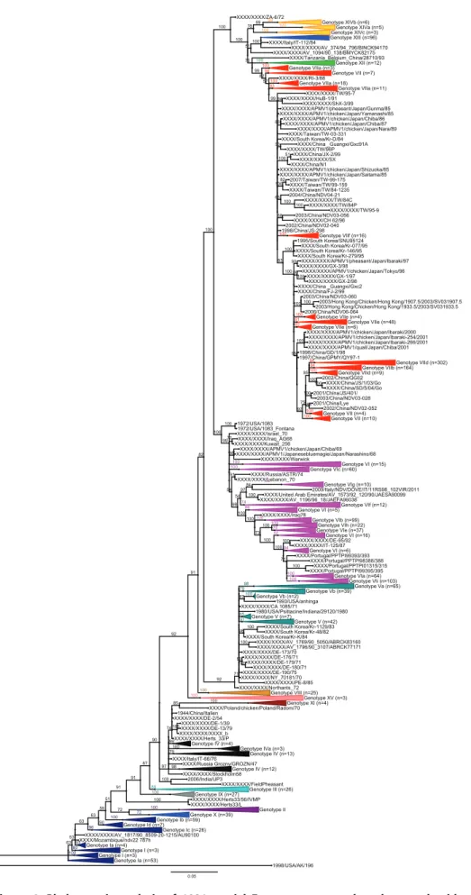 Figure 4. Phylogenetic analysis of 1921 partial F gene sequences based on nucleotides from positions 1 to 372