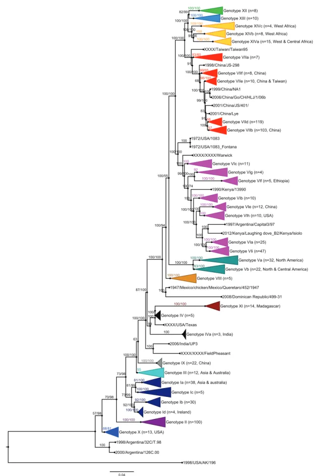 Figure 1. Phylogenetic analysis of 741 complete F nucleic acid sequences of NDV. Trees were constructed using Bayesian inference with 16,806,000 iterations and 1/1000 tree sampled in the chain