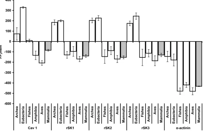 Figure 7. The FP 3 mem values of rSKs, a-actinin and Ca v 1.2 proteins. Columns indicate the FP 3 mem value for each protein over evolutionary time