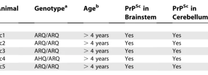 Table 1. Scrapie-Infected Sheep Tested for PrP Sc in the Skin