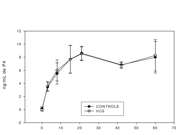 Figura 1 – Concentração plasmática de progesterona de cabras da raça Alpina, tratadas  com hCG, de acordo com o dia da coleta, durante a estação de reprodução  induzida por fotoperíodo artificial