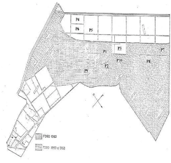 Figura 2 -   Mapa da Estação Florestal de Experimentação em Paraopeba-MG,  mostrando os talhões incendiados em 1960 e 1968 e a localização das  10 parcelas utilizadas na amostragem (P1, P2, P3, P4, P5, P6, P7, P8,  P9 e P10)