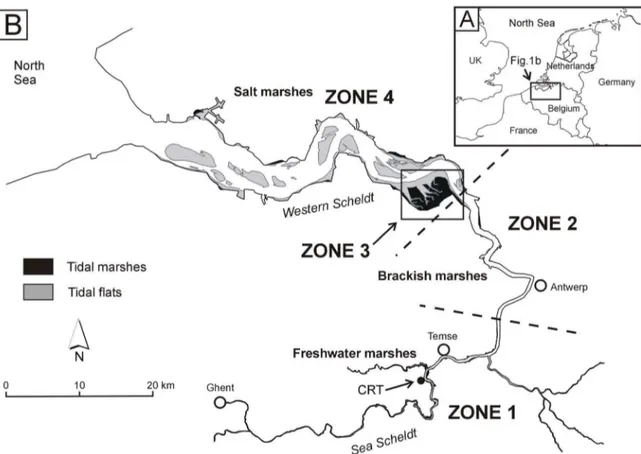 Figure 2. Detailed map of the study area. Sampling locations for the subtidal samples, tidal flat and tidal marsh samples along a transect and the location of the CRT.