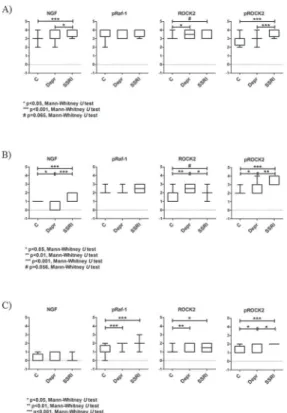 Figure 4. Protein levels in different cell types of placenta detected by immunohistochemistry 