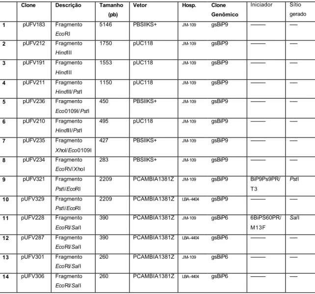 Tabela 1: Descrição dos clones e sub-clones derivados de gsBiP9e gsBiP6  Os clones e sub-clones utilizados nas reações de sequenciamento e  na obtenção das deleções dos promotores gsBiP6 e gsBip 9 são  apresentados abaixo