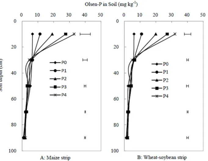 Fig 8. Soil Olsen-P of the maize strip at maize harvest (A) and the wheat-soybean strip at soybean harvest (B) in the 0–100 cm layers of the soil profile in 2013