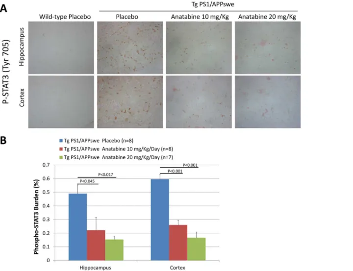 Fig 6. Anatabine reduces the amount of phosphorylated STAT3 immunopositive cells in the hippocampus and cortex of Tg PS1/APPswe mice