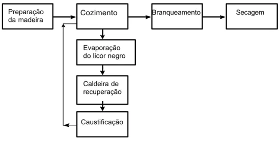 Figura 1 - Esquema do processo de produção de celulose kraft. 