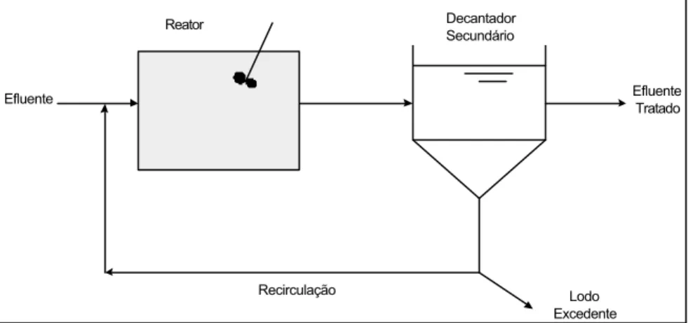 Figura 2 - Fluxograma típico de um sistema convencional de lodos ativados. 