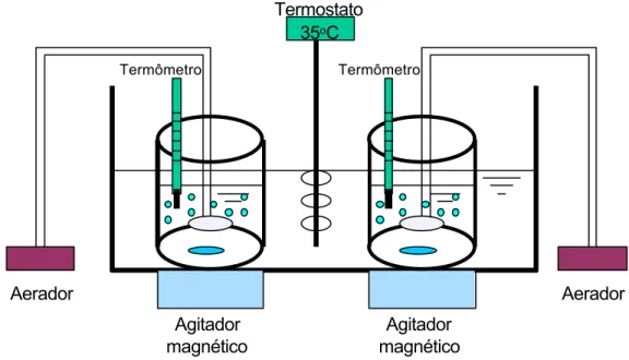 Figura 8 – Representação esquemática do sistema de tratamento laboratorial. 