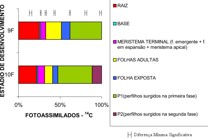 Figura 4 - Percentagem de fotoassimilados- 14 C presentes em cada órgão da  planta, conforme seu estádio de desenvolvimento (nove e dez folhas  completamente expandidas no perfilho principal)