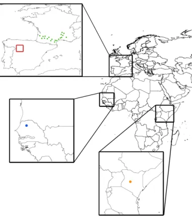 Figure 2. Location of the networks used for validation in this study (Smosmania, France, green dots; Remedhus, Spain, red rectangle; Dahra, Senegal, blue dot; Cosmos, Kenya, orange dot).