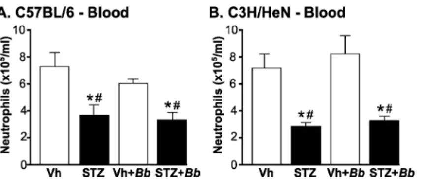 Fig 4. Neutropenia in B. burgdorferi-infected and mock-infected hyperglycemic mice. (A, B) Mean