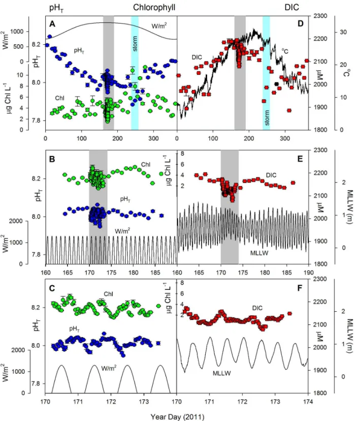 Figure 1.  Nested temporal variability of carbon and environmental parameters at the Pivers Island Coastal Observatory study site