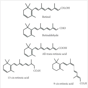 Fig. 1. The chemical structures of retinoids.