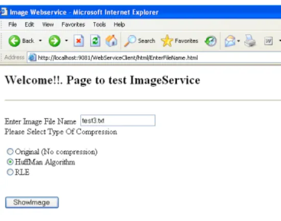 Figure 5. Web page displayed when the application is accessed 