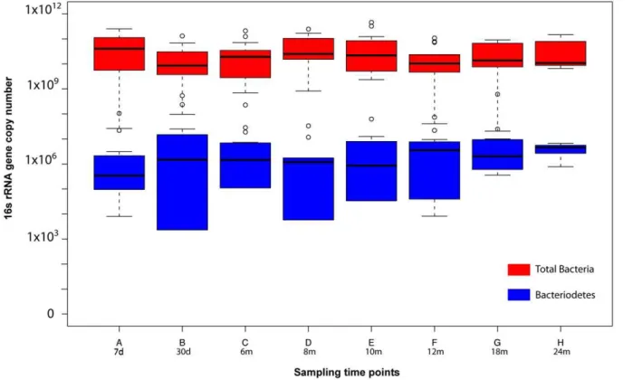 Figure 3. Quantitative real-time PCR of total 16S rRNA gene copies (red) and Bacteroidetes 16S gene copies (blue) for all samples analyzed at each time point in triplicate.
