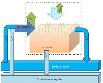Fig. 1. Basic diagram explaining fundamental differences between gross and net withdrawals in relation to incremental ET.