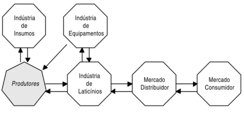 Figura 1 - Cadeia agroindustrial do leite. 