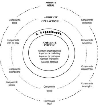 Figura 9 - A organização, os níveis de seus ambientes e os componentes des- des-ses níveis