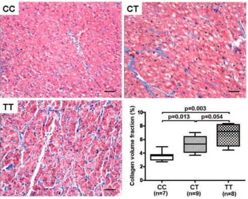 Figure 5. Correlation between atrial protein expression of TGF-b1 and collagen volume fraction in LAAs.
