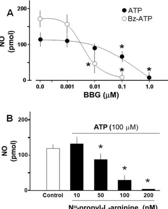 Table 1. NO production in hippocampal slices induced by purinergic agonists. Agonist NO (pmol) 100 m M ATP (24) 111.2612.1 *** 100 m M a,b MeATP (3) 1.560.7 100 m M Bz-ATP (3) 160.2638.9 *** 100 m M ADP (5) 1.160.5 100 m M ADO (3) 0.460.3 1 m M 2-MeADP (3)