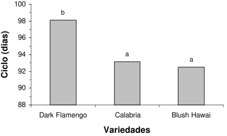 Figura 2. Valores médios do ciclo para variedades de crisântemos cultivados  em sistema hidropônico