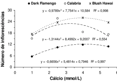 Figura 4. Número de inflorescências de diâmetro entre 1 e 3 cm de  variedades de crisântemos cultivados em sistema hidropônico em  função da aplicação de doses de cálcio