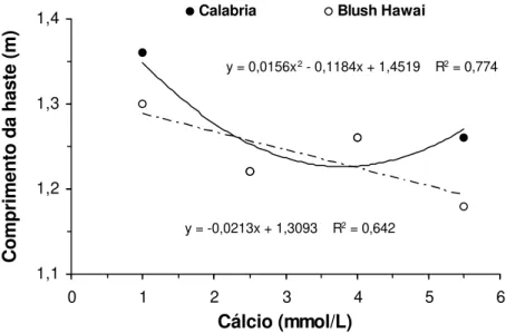 Figura 5. Comprimento de haste de variedades de crisântemos cultivados  em sistema hidropônico em função da aplicação de doses de  cálcio