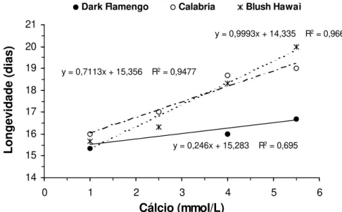 Figura 7. Longevidade de inflorescências de variedades  de crisântemos  cultivados em sistema hidropônico em função da aplicação de  doses de cálcio