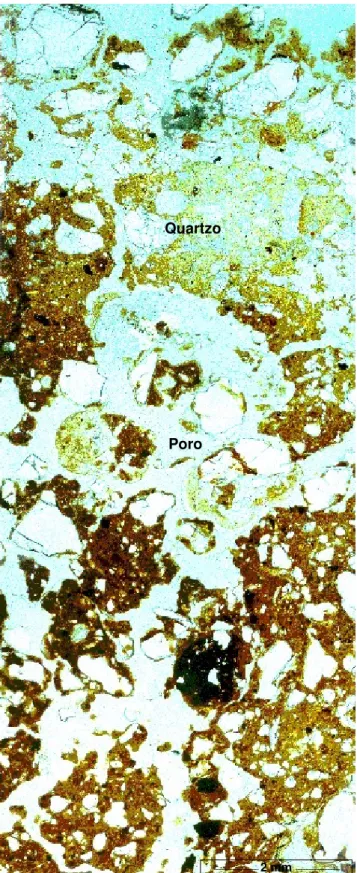 Figura 10 - Fotomicrografia sob microscópio petrográfico da seção fina  do tratamento com vegetação espontânea