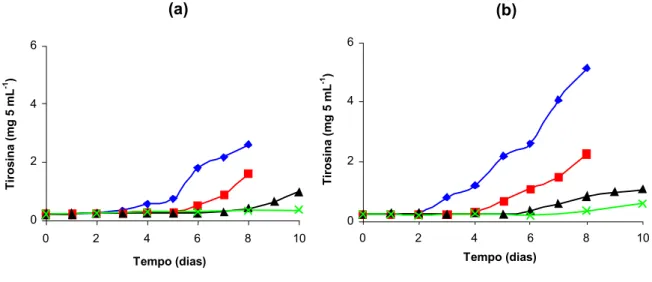 Figura 8 –   Concentração  de  tirosina  durante a estocagem das amostras de  leite desnatado inoculadas com P