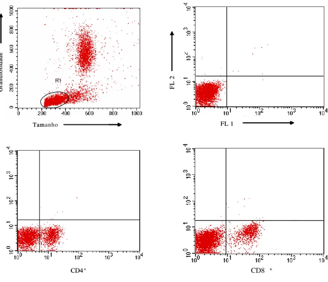 Figura 4: Representação gráfica da Imunofenotipagem dos linfócitos bovinos. Perfil dos  leucócitos periféricos bovinos obtidos de PBL (A); Controle de células (B); população  marcada com anticorpos específicos para linfócitos T CD4 +  (C), CD8 +  (D), WC1 